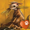 Hoss's profile picture
