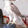 سلطان خميس profil fotoğrafı