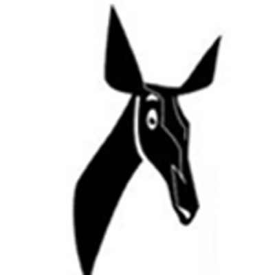 radiookapi's profile picture