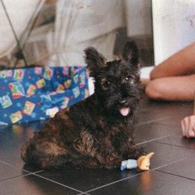 DrAmor's profile picture