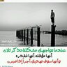 واحد من الناس's profile picture