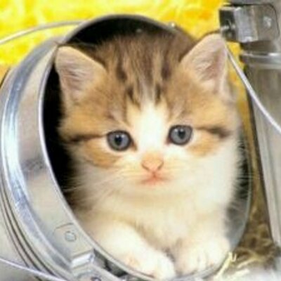 baati0822's profile picture