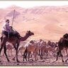 Profilbild von مسلط العوني