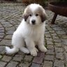 B. Niederreiter's profile picture