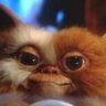 Profilbild von Jose