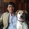 juan huanca quispe 的头像