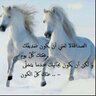 حياة profil fotoğrafı
