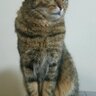 Фото профиля やくまま