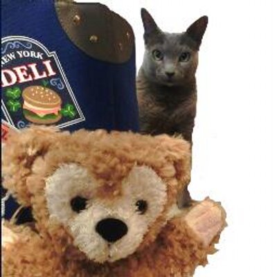 だふねこ（だふフィーニャ）'s profile picture