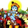 Dinesh Nallpareddy's profile picture