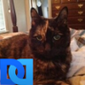 Sylvia_nc profil fotoğrafı