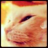 Profilbild von ぱっちん