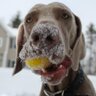 New Hampshire 007's profile picture