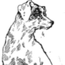 Profilbild von Mintmorency