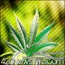 Profilbild von 420 News Wire