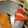 Manuel-Gris's profile picture