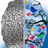 NeuroEd profil fotoğrafı