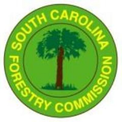 ForestryCommish's profile picture