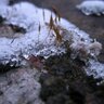 Фото профиля Ellen Graubart
