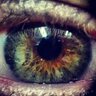 Jens Kull's profile picture
