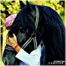 Profilbild von عــاد الــهــنــائي☕