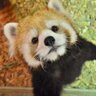 yoyo's profile picture
