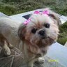 Annie's profile picture
