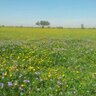 Фото профиля المكشاتي