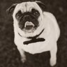 Profilbild von Zeus on the loose