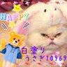 白塗りうさぎ10969ᙏ̤̫͚❤︎ profil fotoğrafı