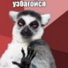 Igor's profile picture