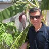 Фото профиля Ramazan Gök