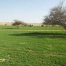 Фото профиля ابو جود