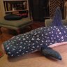 Profilbild von Semi-Palmated Pelagic Yarn Shark