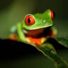 roberto. profil fotoğrafı