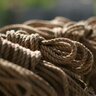Knot Knormal profil fotoğrafı
