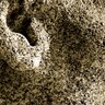 slave2sync's profile picture