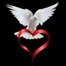 peace profil fotoğrafı