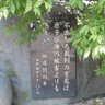 Profilbild von もちもちもっち~【公式】Xロック被害者の会・香害被害者の会会員・日本保酒党