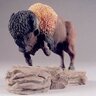 Carl Gorney's profile picture