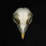 Marilyn Sowa's profile picture