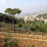 عش الورور 的头像