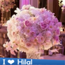 Фото профиля نجلاء 💙🤍