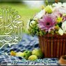 alameen77 的头像