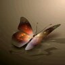 غد مشرق's profile picture