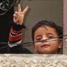 Tamer Alshar'abi's profile picture