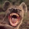 5tHaRdPr0_888's profile picture