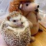 びーえむ's profile picture