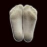 Profilbild von SmellySocksFetish
