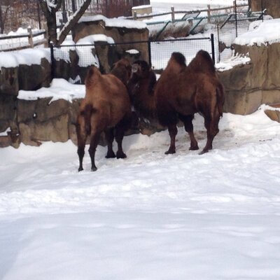 Jim Deshaies's profile picture